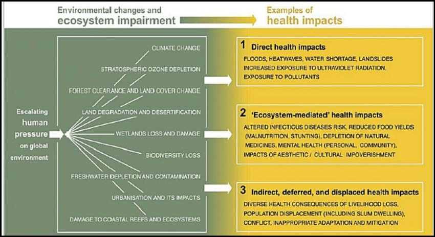 Environment and Human Health. The Impact of the environment on Human Health. Humans and the environment. Impact on the environment.