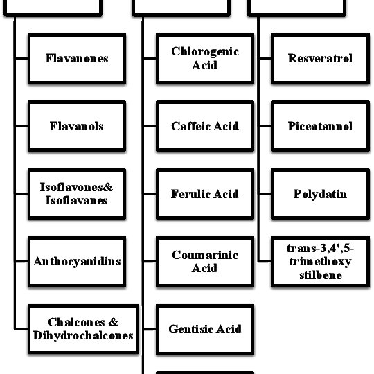 Classification of polyphenols. | Download Scientific Diagram
