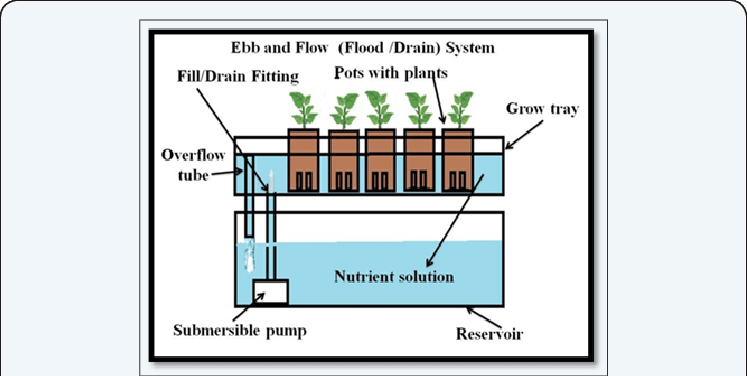 Shows The Ebb And Flow Flood And Drain System Download Scientific