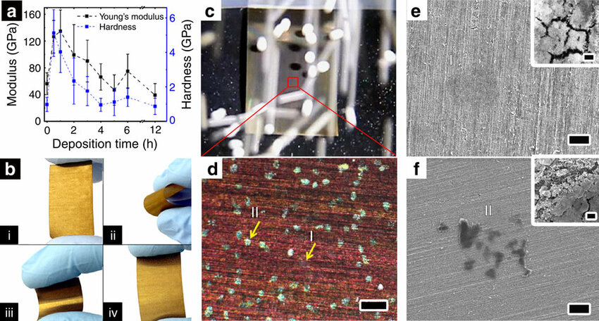 Investigation Of Electrodeposited Polyaniline On Stainless Steel