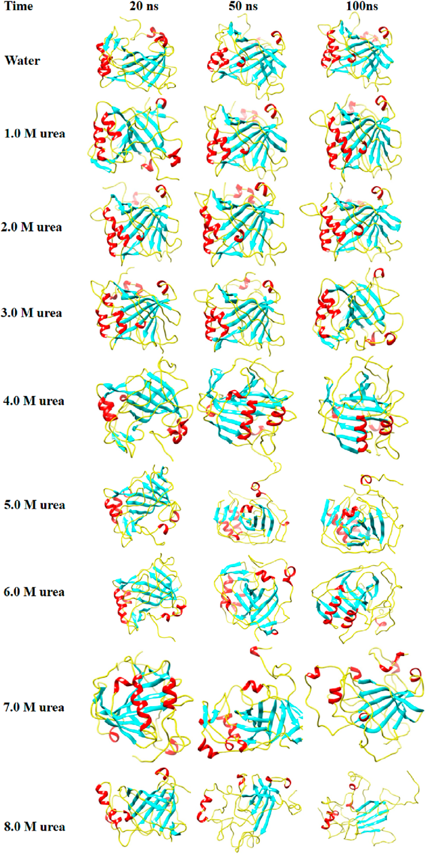 Structural snapshot of CAIX is obtained as 5, 50, and 100 ns in water ...