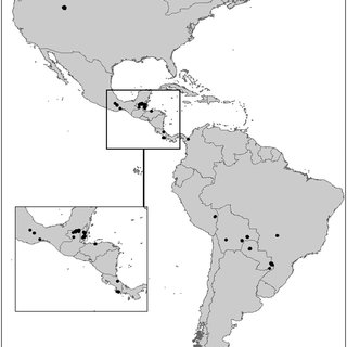 puma locations