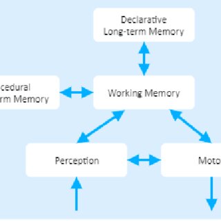 -Tulving's long-term memory model depicts Tulving's long-term memory ...