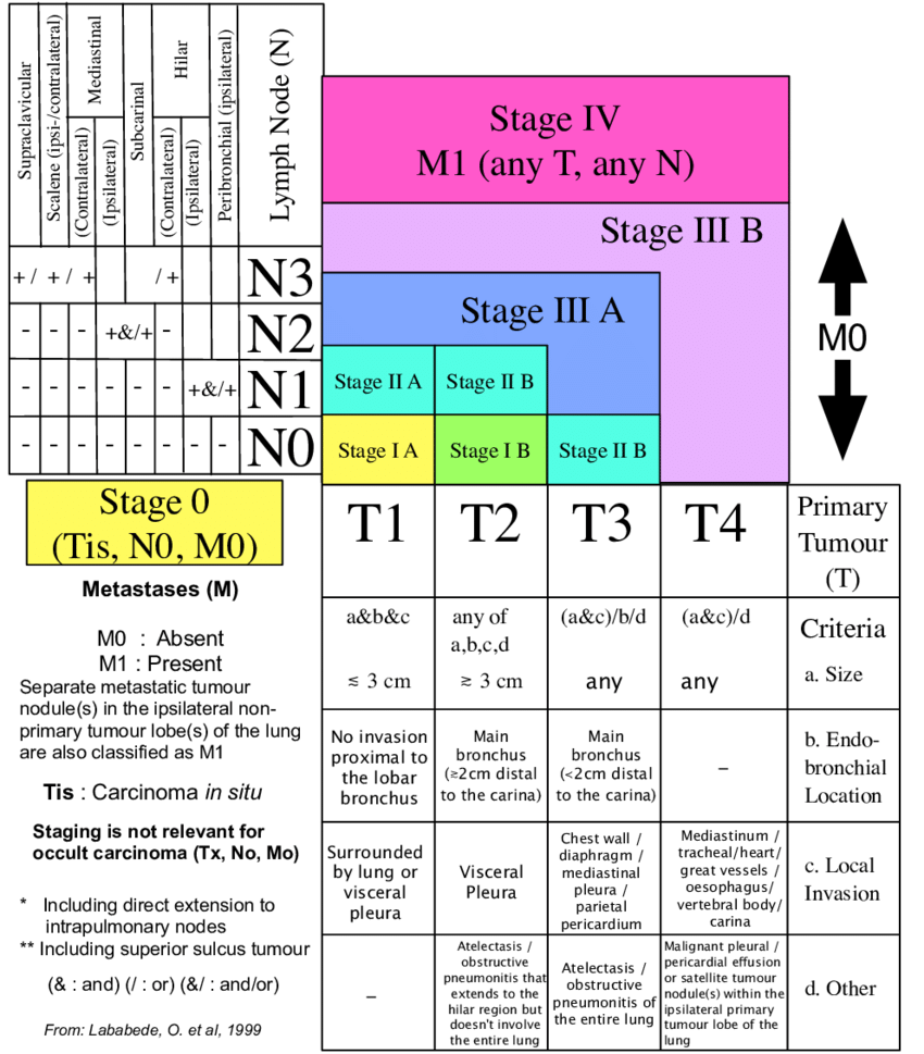 Lung Cancer Staging Diagram