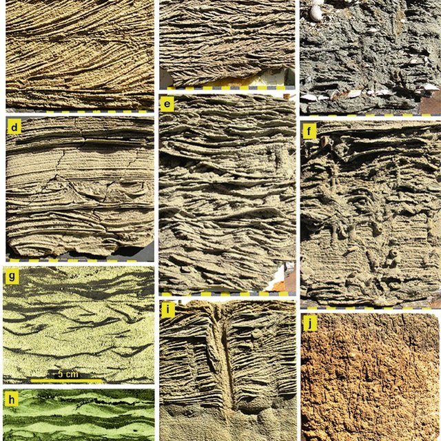 18 Internal sedimentary structures typical for tidal flat deposits. ( a