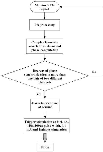 Pathophysiology Of Seizure Flow Chart