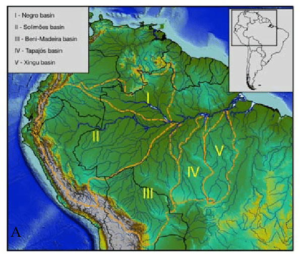 Map Of Amazon Basin Highlighting Catchments Of The Largest Rivers A Download Scientific Diagram
