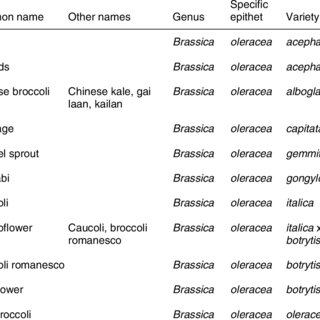Brassicaceae - Wikipedia