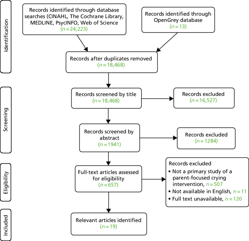 process in literature review flow chart