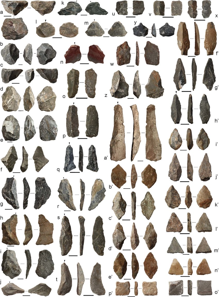 Additional Chiquihuite Lithic Artefacts A C Cores D E Bifacial Download Scientific Diagram