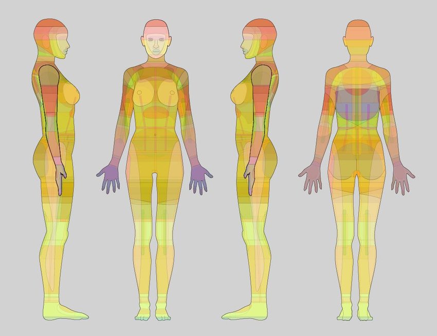 Female form with combined body map overlays. The simplified ...