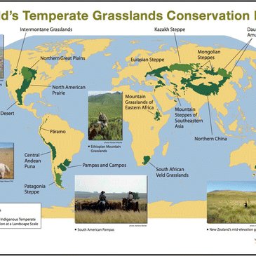 average temperature in a temperate grassland
