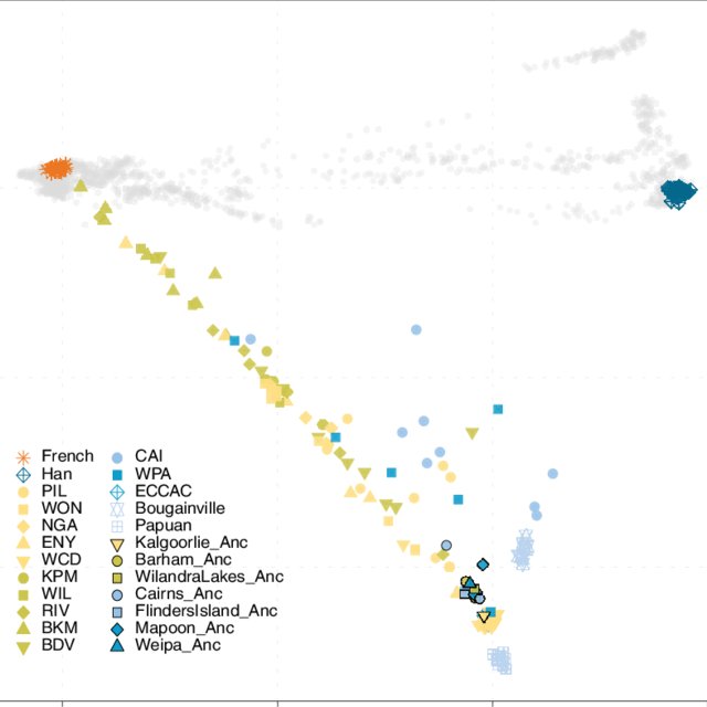 Genetic structure of ancient and contemporary Aboriginal | Scientific Diagram