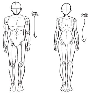 Tutorial sobre cómo dibujar un cuerpo masculino y un cuerpo