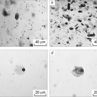 Graphite inclusions on microinclusions in low-temperature (a, b) and ...