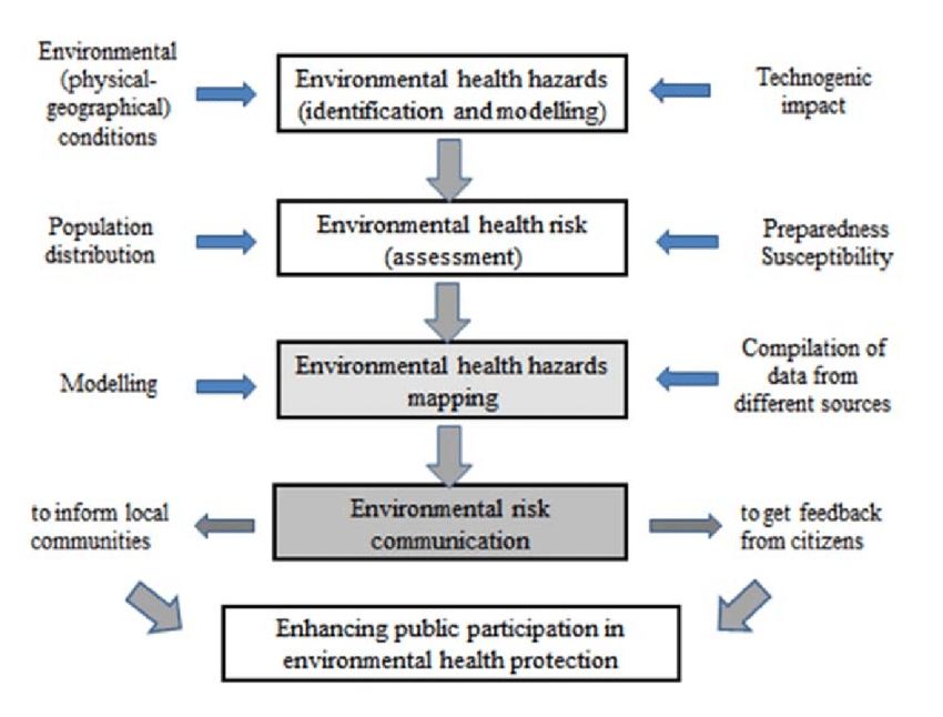 term paper on environmental hazard