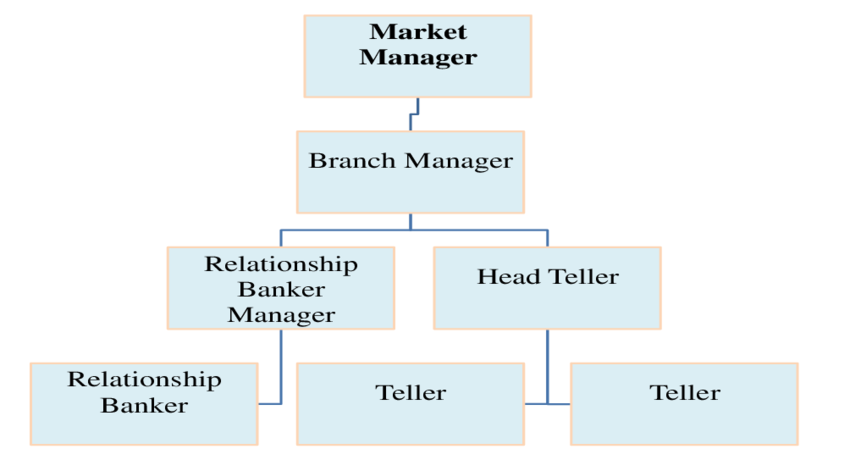 Bdo Organizational Chart
