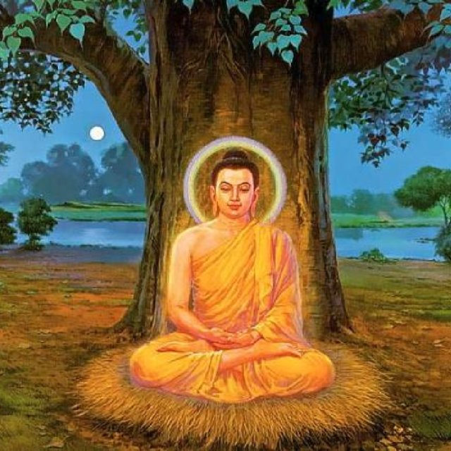 Buddha And Bodhi Tree