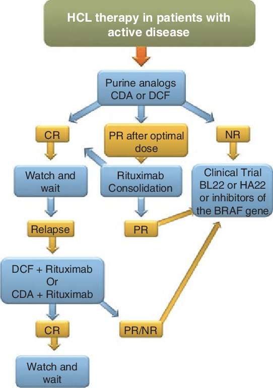 Hcl Organizational Structure Chart