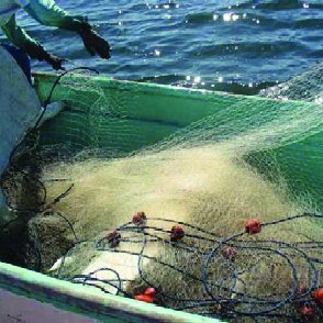 Arte de pesca de trasmallo o red agallera.