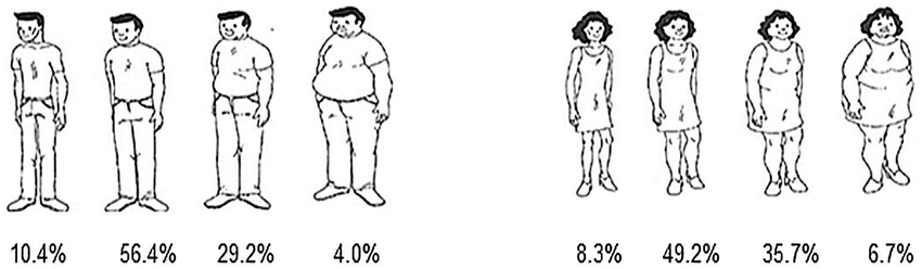Self Reported Perception Of Personal Body Complexion In Panamanian Download Scientific Diagram