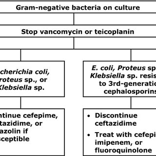 infected capd guideline ไทย 4