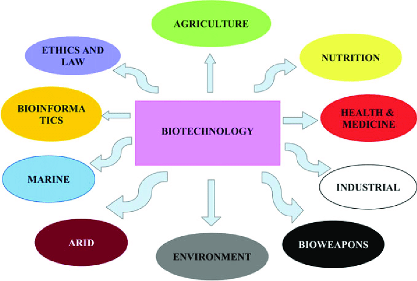 Areas of biotechnology. The figure represents various streams of