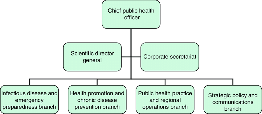 Public Health Organizational Chart