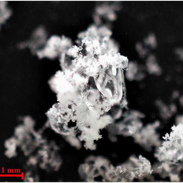 Water frost forming on larger grains of translucent carbon dioxide ice ...