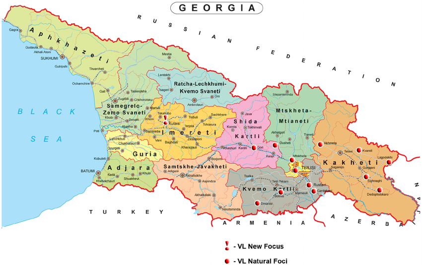 Карта грузии подробная на русском. Рача Грузия на карте. Лечхуми Грузия на карте. Рача Лечхуми на карте Грузии. Районы Грузии на карте.