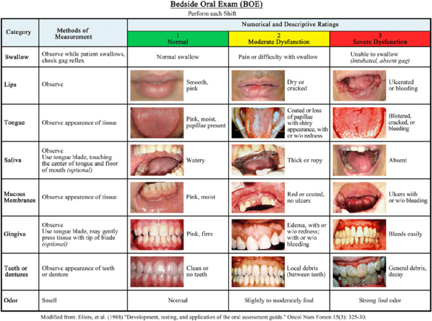 Bedside Oral Exam Guide Download Scientific Diagram 