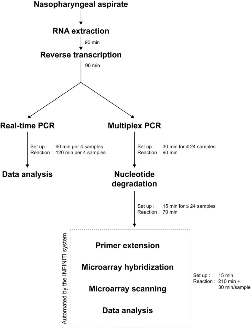 Pcr Procedure Flow Chart