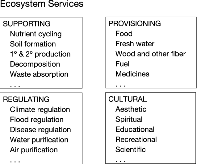 ecosystem services research paper
