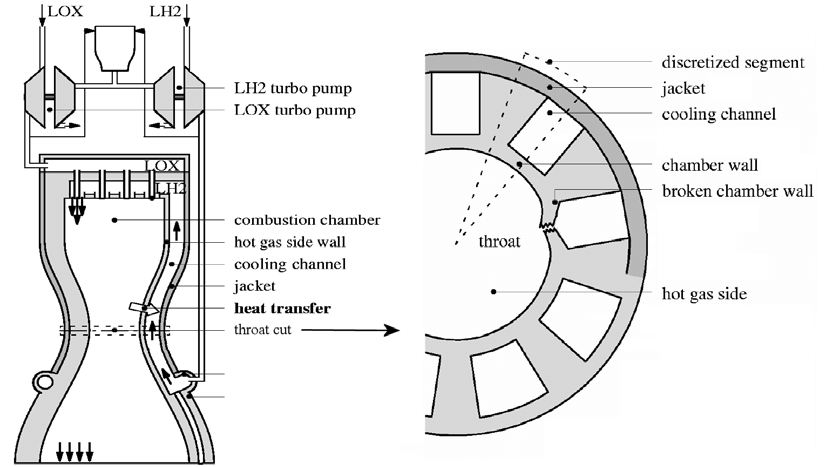 Schematic of a regeneratively cooled rocket engine combustion chamber
