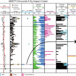 Fig. 7. Biostratigraphic, organic geochemical, and carbon isotopic records through the Paleocene-Eocene in the Chicxulub impact crater IODP Expedition364 Site M0077 borehole (#36) in Biofacies Region 3. Schematic lithological units range from the pre-K-Pg polymict breccia through the mixed limestones, marls, and shales of the Paleocene LW and MW into Eocene UW and Claiborne Gp. GR, SON and RES logs are used to calculate the TOC profile calibrated with sample-based measurements (TOCm) from this study (yellow diamonds) and previous work (red circles; Gulick et al., 2017). Organic carbon isotopes show a negative excursion over the PETM (gray bar) based on measurements from this study (blue squares) and those of Smith et al. (2020; black curve in blowup). Percentages (over the total nannofossil population) of the oligotrophic nannofossil assemblage spike during the PETM and remain relatively uniform through the Eocene with a slight oligotrophic dominance over the eutrophic assemblage. Percentages of radiolarians and planktonic and calcareous benthic foraminifers show bursts in abundance through the early Eocene. (For interpretation of the references to color in this figure legend, the reader is referred to the Web version of this article.)