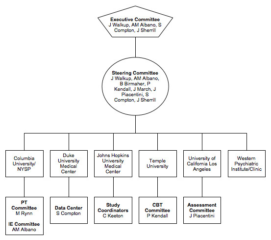 Johns Hopkins University Organizational Chart