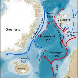 Study area. Red and blue arrows represent the ocean currents ...
