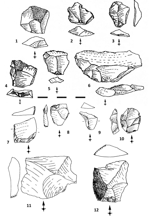 Discoidal flakes from Cueva Morín. 1-6, level 10 (Châtelper-ronian ...