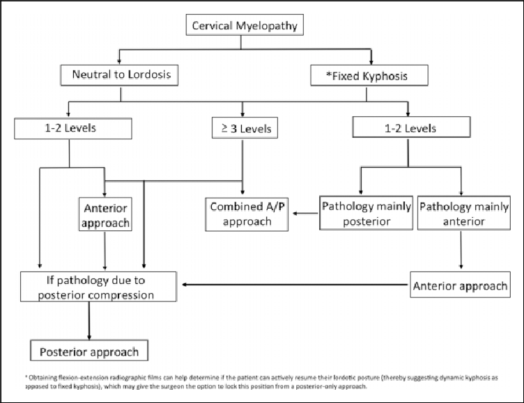 A General Algorithm In The Surgical Approach Of Treating Cervical