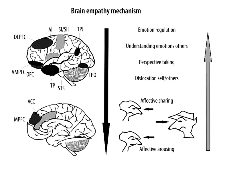 Brain processing. Мозг психопата. Brain Regulation. Empathy Brain.