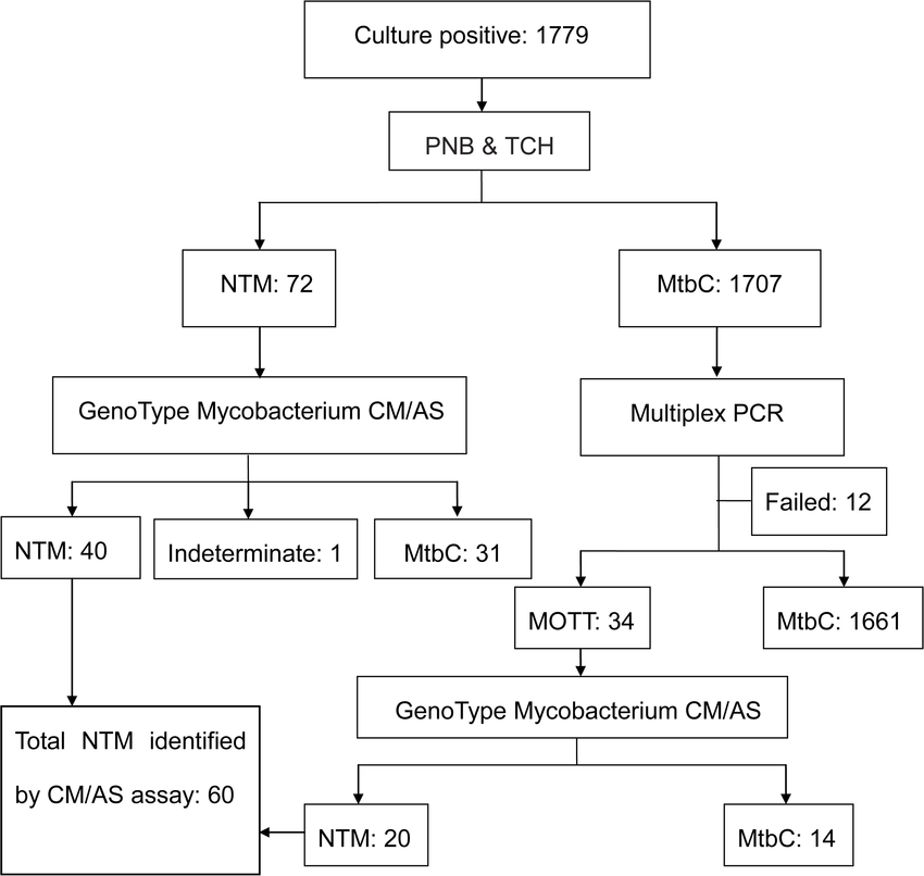 Flow chart of the NTM screening procedure. Abbreviations: PNB