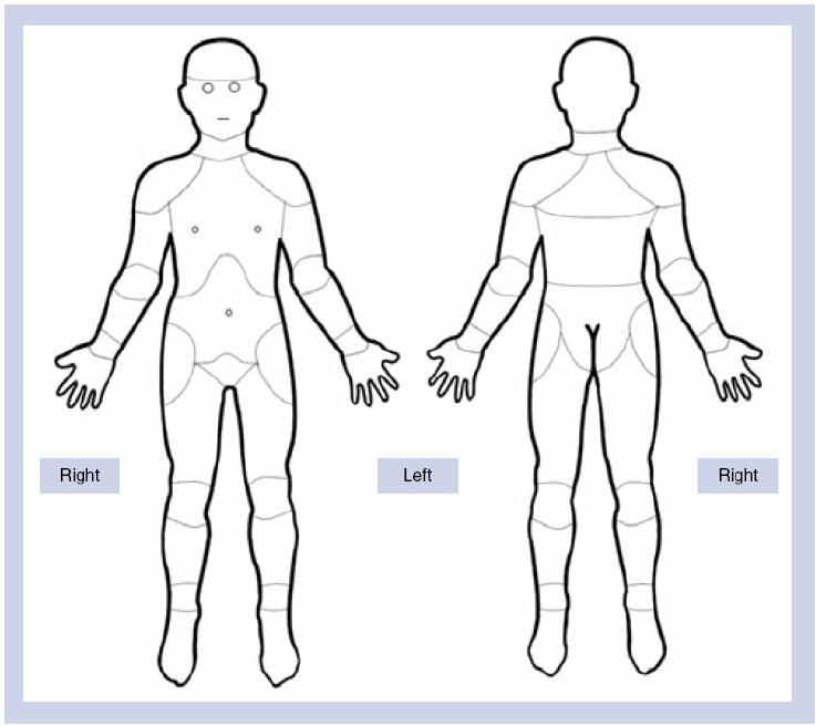 Human Body Chart Download