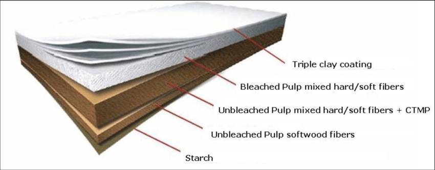 structure of a board paper