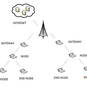 Wireless Multi-hop Network | Download Scientific Diagram