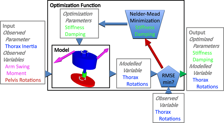 Visual representation of the model and the optimization For... | Download Scientific Diagram
