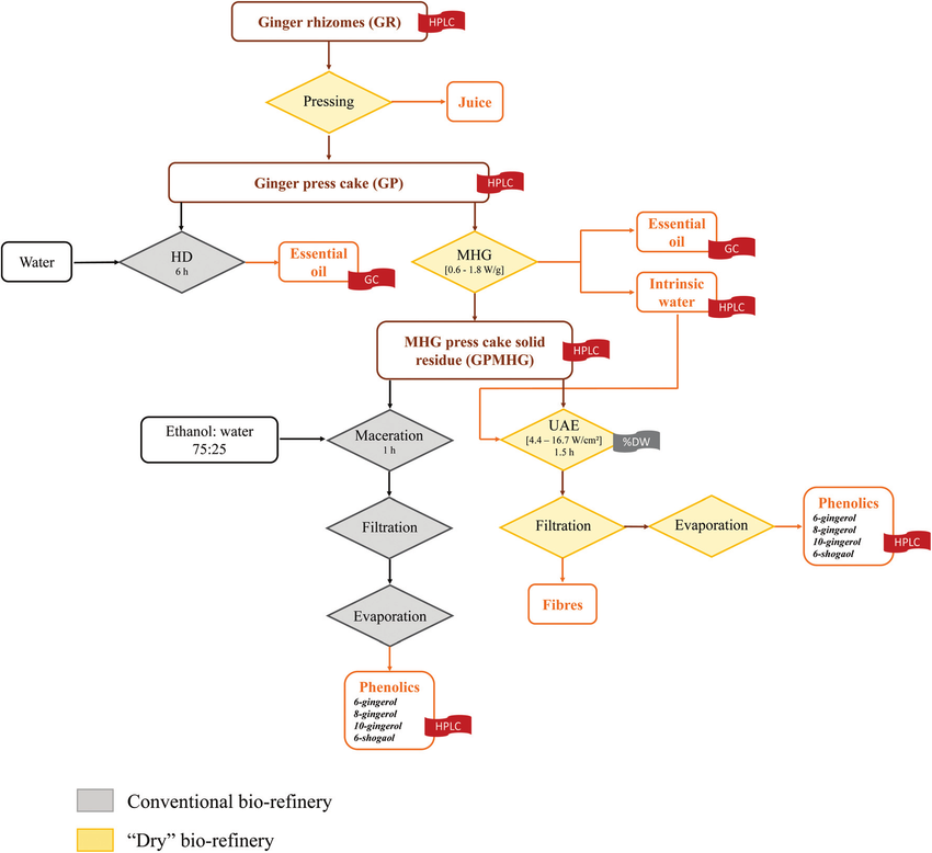 Ginger Processing Flow Chart