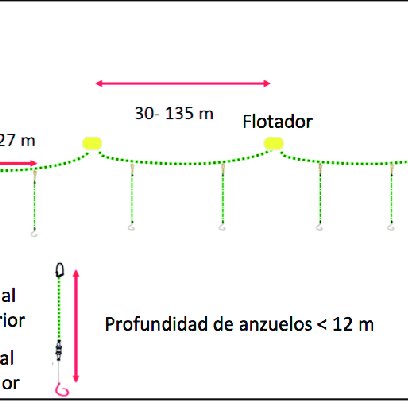 Aparejo típico de la pesca de espinel en el Perú (2005-2009 ...