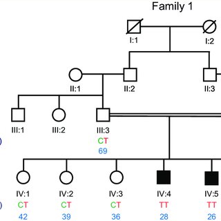 cartier family tree