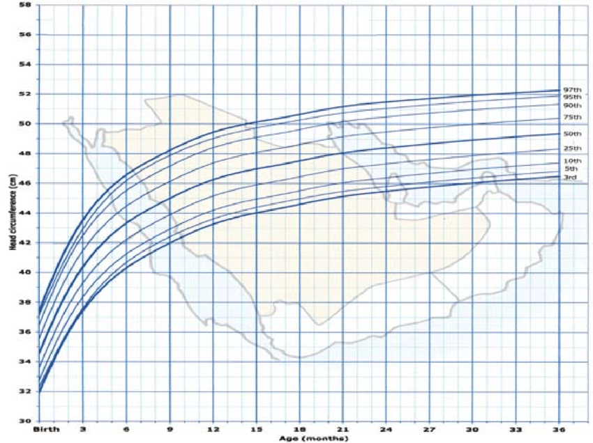 Baby Head Circumference Percentile Chart
