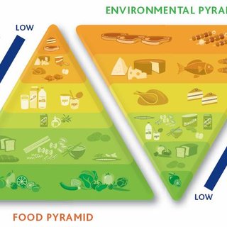 The food pyramid and the environmental pyramid. Source: Barilla Center ...